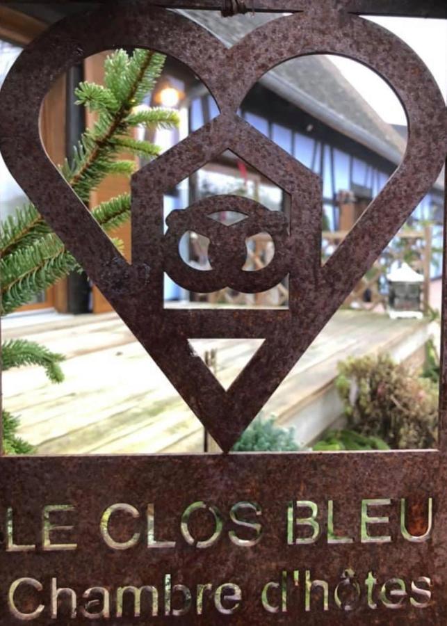 Le Clos Bleu - Gite Rural Schillersdorf Exterior foto
