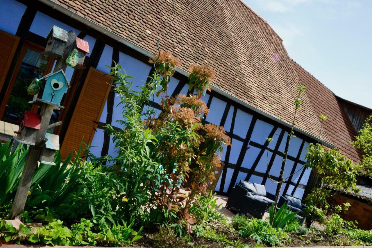 Le Clos Bleu - Gite Rural Schillersdorf Exterior foto
